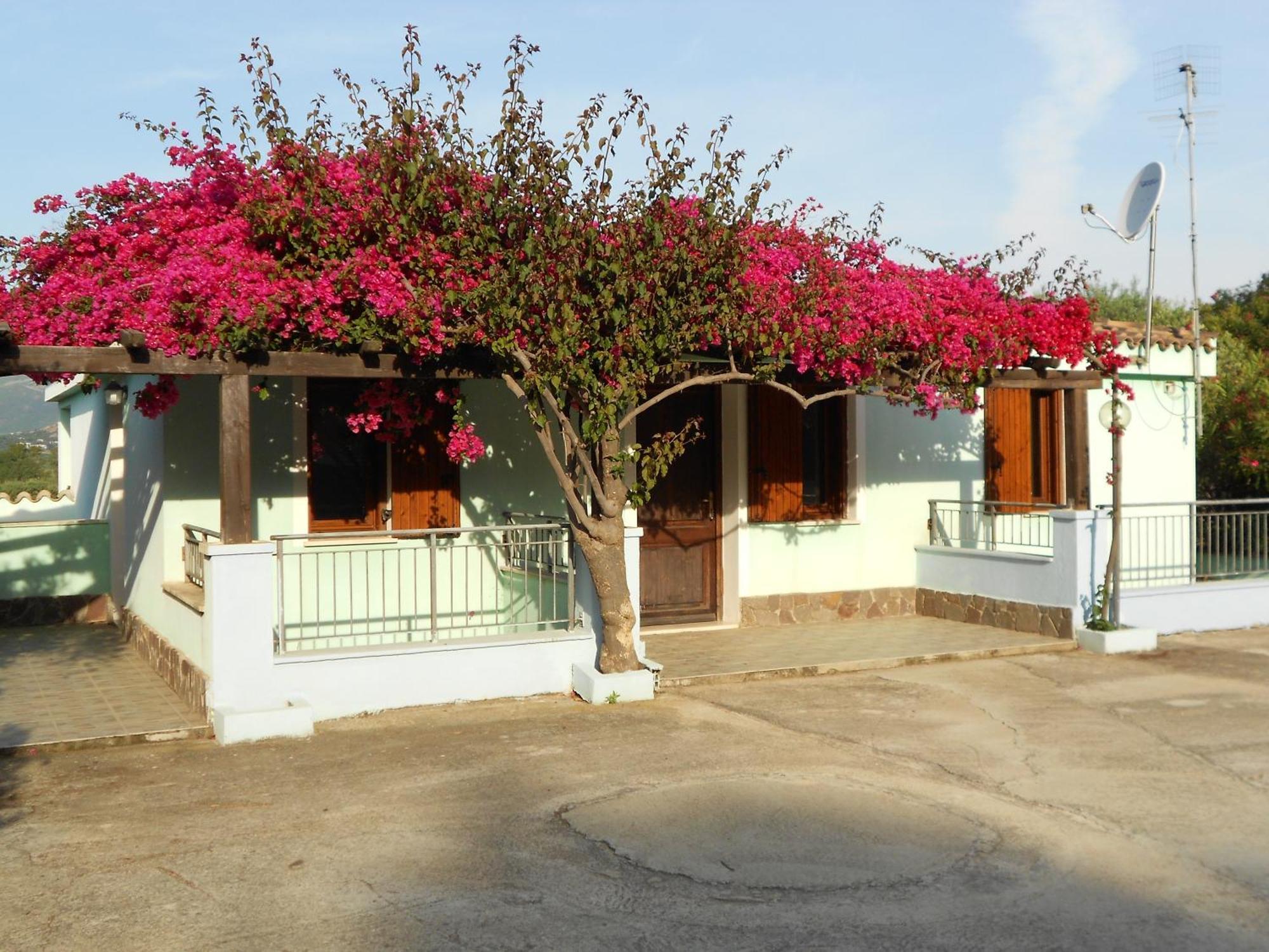 La Corte Degli Ulivi คาร์เตดู ภายนอก รูปภาพ