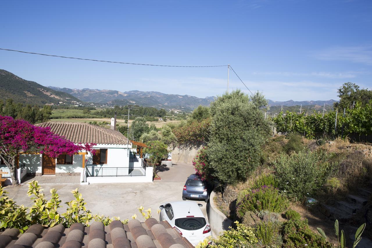 La Corte Degli Ulivi คาร์เตดู ภายนอก รูปภาพ